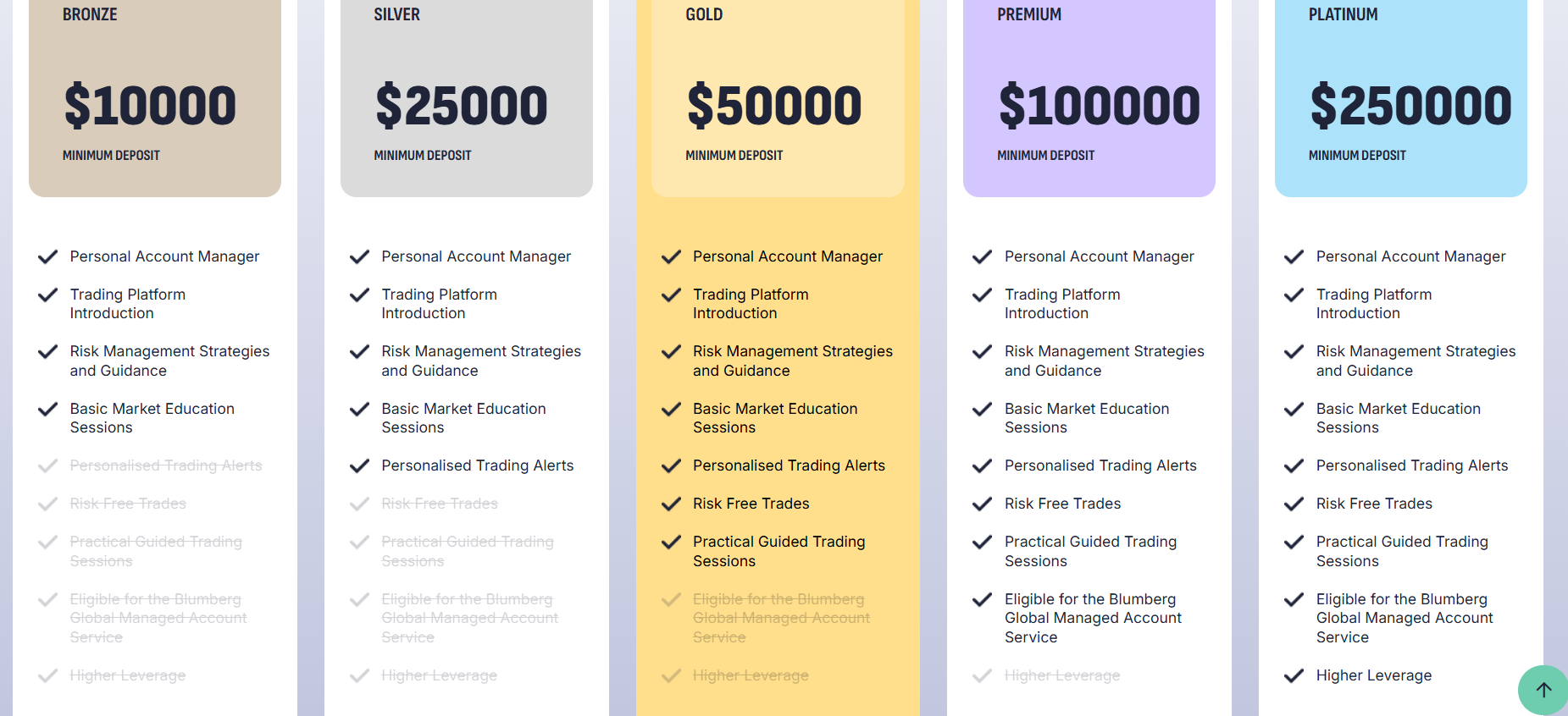 Blumberg Global account types